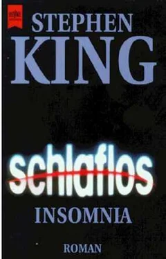 Stephen King Insomnia (Schlaflos) обложка книги