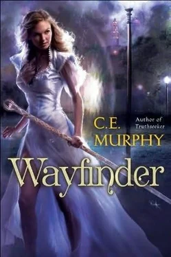 C. E. Murphy Wayfinder обложка книги