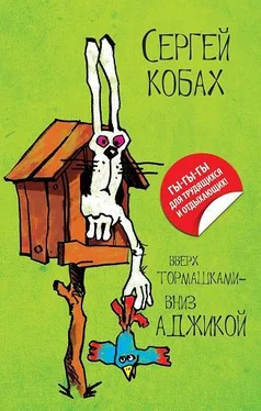 Сергей Кобах Вверх тормашками – вниз Аджикой обложка книги