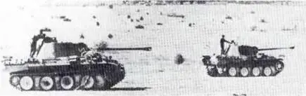 Pz V Ausf А Италия 1944 г Пантеры танковой дивизии С С Викинг Россия - фото 18