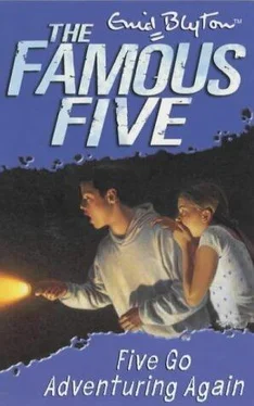 Enid Blyton Five Go Adventuring Again обложка книги