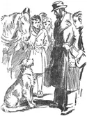 Mr Roland seemed rather takenaback A dog he said I didnt know there - фото 1