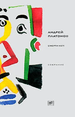 Андрей Платонов Том 5. Смерти нет! обложка книги