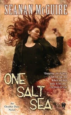 Seanan McGuire One Salt Sea обложка книги