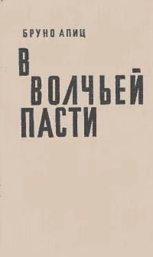 Бруно Апиц В волчьей пасти обложка книги