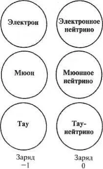 Рис 24 Пептоны семейство 1 электрон и электронное нейтрино семейство 2 - фото 13