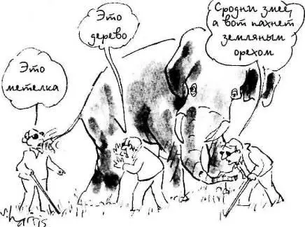 Сколько измерений присуще Вселенной и можно ли создать теорию всего сущего - фото 80