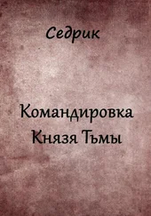 Сергей Малышонок - Командировка Князя Тьмы.