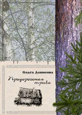 Ольга Денисова Придорожная трава обложка книги