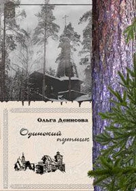 Ольга Денисова Одинокий путник обложка книги