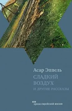 Асар Эппель Сладкий воздух и другие рассказы обложка книги