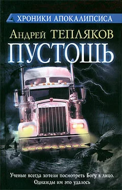 Андрей Тепляков Пустошь обложка книги