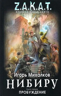 Игорь Михалков Нибиру. Пробуждение обложка книги