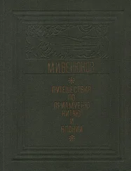 Михаил Венюков - Путешествия по Приамурью, Китаю и Японии