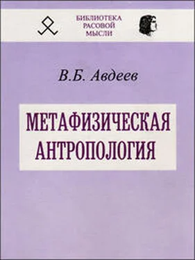 Владимир Авдеев Метафизическая антропология обложка книги