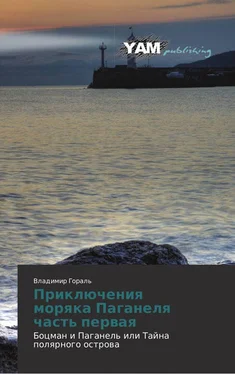 Владимир Гораль Боцман и Паганель, или Тайна полярного острова обложка книги