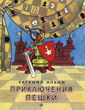Евгений Ильин Приключения пешки обложка книги