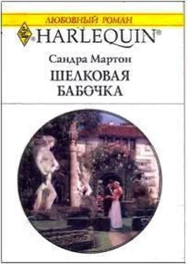 Сандра Мартон Шелковая бабочка обложка книги