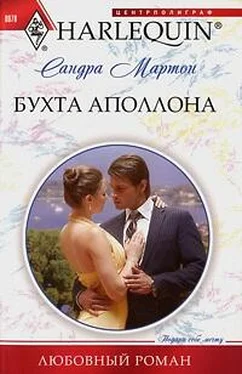 Сандра Мартон Бухта Аполлона обложка книги