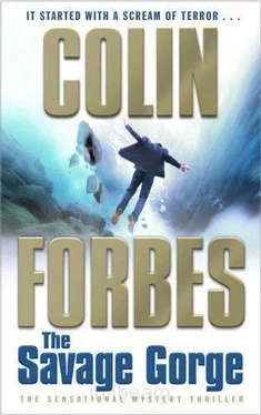 Colin Forbes The Savage Gorge обложка книги