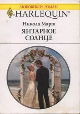 Никола Марш Янтарное солнце обложка книги