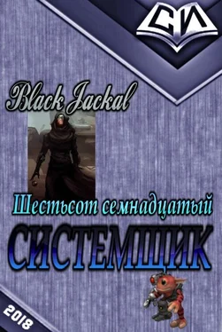 Black Jackal Системщик обложка книги