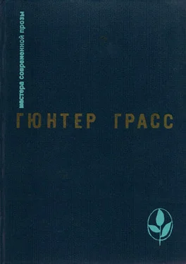 Гюнтер Грасс Встреча в Тельгте обложка книги