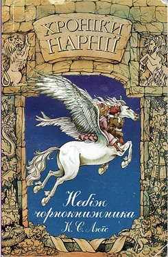 Люїс Клайв Хроніки Нарнії: Небіж чорнокнижника обложка книги