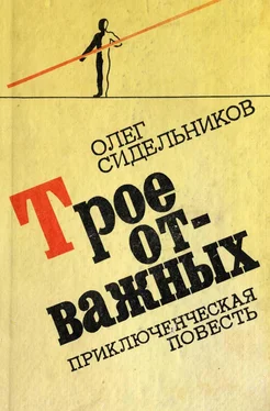 Олег Сидельников Трое отважных, или Жизнь и необычайные приключения мушкетеров обложка книги