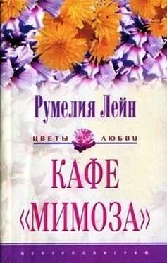 Румелия Лейн Кафе «Мимоза» обложка книги