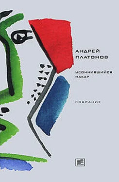 Андрей Платонов Том 1. Усомнившийся Макар обложка книги