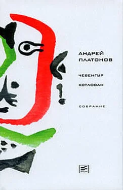 Андрей Платонов Том 2. Чевенгур. Котлован обложка книги