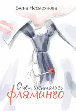 Елена Несмеянова О чём шептались фламинго обложка книги
