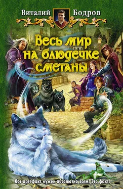 Виталий Бодров Весь мир на блюдечке сметаны обложка книги