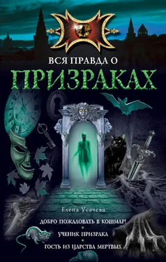 Елена Усачева Добро пожаловать в кошмар! обложка книги