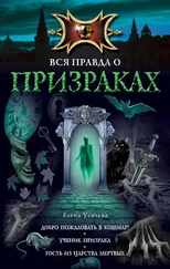 Елена Усачева - Добро пожаловать в кошмар!