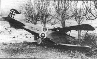 Albatros DII115317 Летчики Flik 55J перед самопетом Киша май 1918 г - фото 20