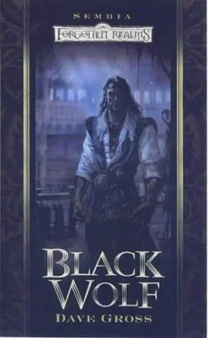 Dave Gross Black Wolf обложка книги