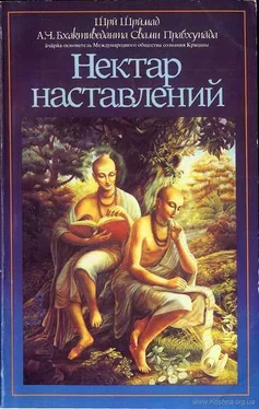 Шри Шримад А. Ч. Бхактиведанта Свами Прабхупада Нектар наставлений (Упадешамрита) обложка книги