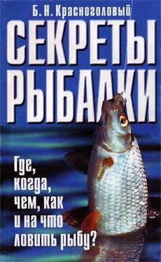 Борис Красноголовый Секреты рыбалки обложка книги