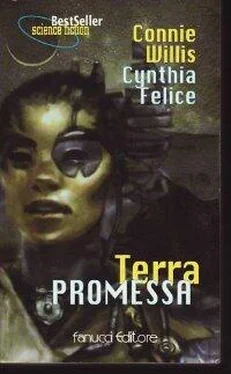 Connie Willis Terra Promessa обложка книги