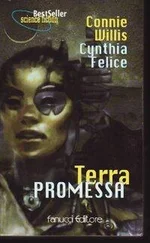 Connie Willis - Terra Promessa
