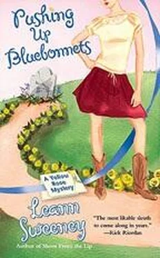 Leann Sweeney Pushing Up Bluebonnets обложка книги