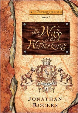 Jonathan Rogers The Way of the Wilderking обложка книги