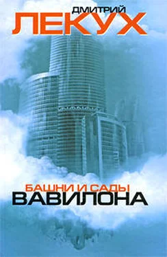 Дмитрий Лекух Башни и сады Вавилона обложка книги