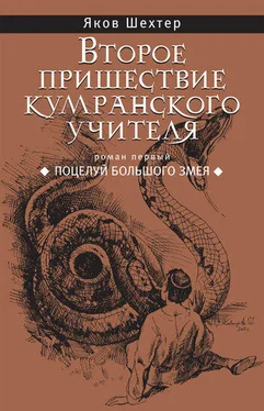 Яков Шехтер Поцелуй Большого Змея обложка книги