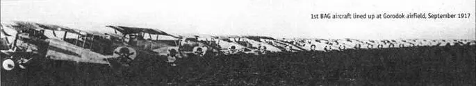 Самолеты 1й БАГ на аэродроме Городок Сентябрь 1917 г СМИРНОВ С ПЛЕННЫМ - фото 14