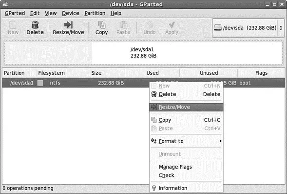 FIGURE 12 Select ResizeMove from the rightclick menu to start the resizing - фото 2