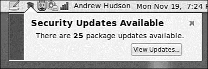 FIGURE 25 pupkeeps an eye out for any updates and notifies you through an - фото 35
