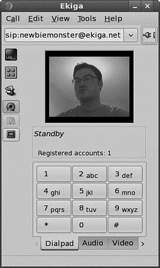 FIGURE 517 Ekiga is surprisingly simple to use A video source is not - фото 69